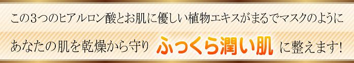 EVOLU GOLD�@���z