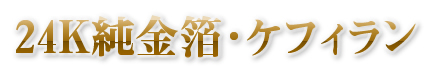 EVOLU GOLD�@���z