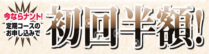 EVOLU GOLD�@���z