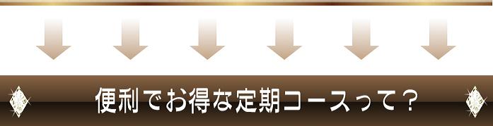 EVOLU GOLD�@���z