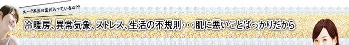 EVOLU GOLD�@���z