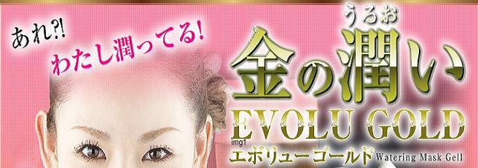 EVOLU GOLD�@���z