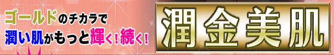EVOLU GOLD�@���z